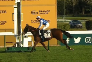 ダイワメジャー産駒ダブルメジャーが3100mの仏G1圧勝！