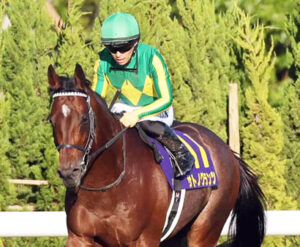 【菊花賞】長距離の川田将雅ｗｗｗ