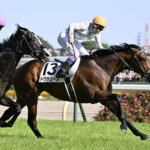 【競馬予想】[2]第168回天皇賞(秋)(GⅠ) /2023