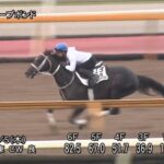 【京都大賞典2023】追い切り/調教を見てわかる事