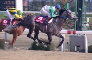 【世紀の】マックvsテイオーの盛り上がりを100とするとイクリバは20くらい【対決】