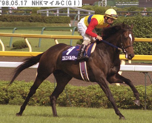 福永祐一調教師「日本競馬史上最強馬はエルコンドルパサー」
