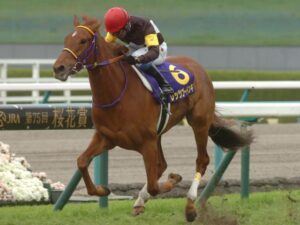 1番かわいい牝馬