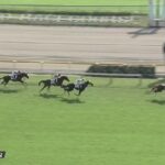 【競馬】凱旋門賞馬ソットサスの全弟 シンエンペラーが新馬戦を快勝