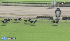【競馬】凱旋門賞馬ソットサスの全弟　シンエンペラーが新馬戦を快勝