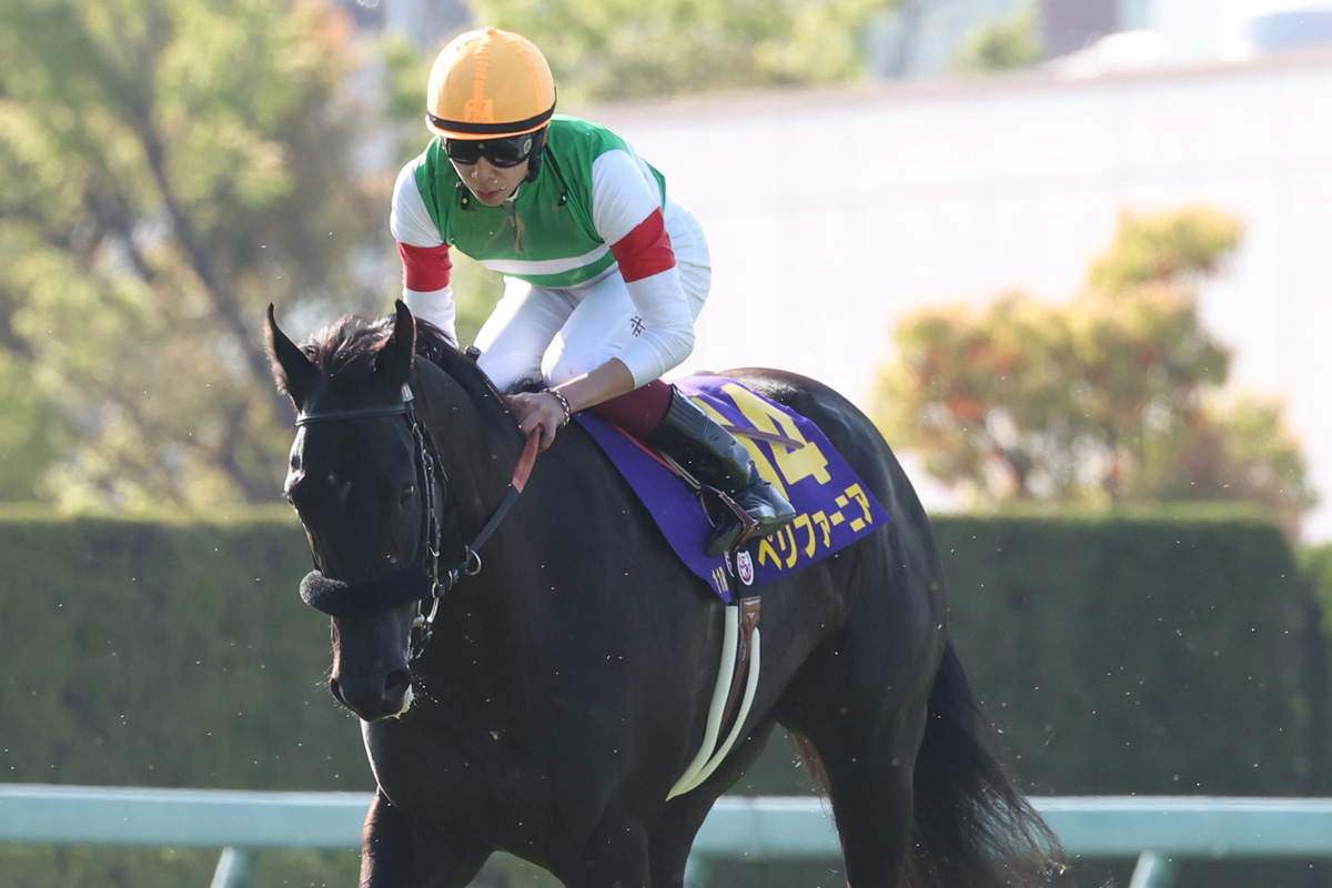 桜花賞3着馬ペリファーニアさん、1勝クラスすら勝てない