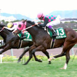 G1馬なのをたまに忘れられる程度の馬←どれ思い浮かべた?
