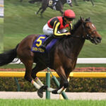 ジャパンカップ想定オッズ イクイノックス1.2倍リバティアイランド1.5倍