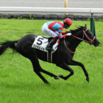 種牡馬コントレイル(1500万)もう満口に