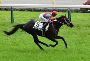 種牡馬コントレイル(1500万)もう満口に