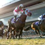 マイルチャンピオンシップのベストレースといえば断然