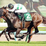 【競馬予想】[1] 第40回マイルチャンピオンシップ(GⅠ) /2023