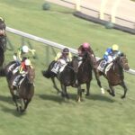 【競馬・マイルCS】セリフォス川田しょうが