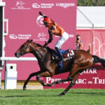 【朗報】ディープインパクト産駒エースインパクト、欧州年度代表馬と最優秀3歳牡馬を獲得!