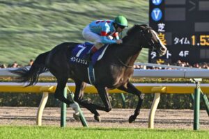 今年のJCより豪華なJCって過去にあった？