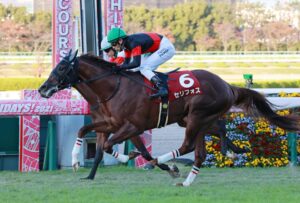 1番人気7着セリフォス川田「久々で力んでいた。これで更に良くなると思う」