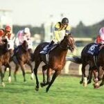 売上も面子も内容も天秋史上最強の1996年天皇賞秋