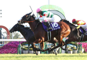 競馬に騎手が関係ない事が証明された件