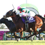ナミュールが香港マイルの招待を受諾。鞍上は未定。