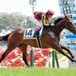 あまりにもクソ騎乗なのに勝ったレース