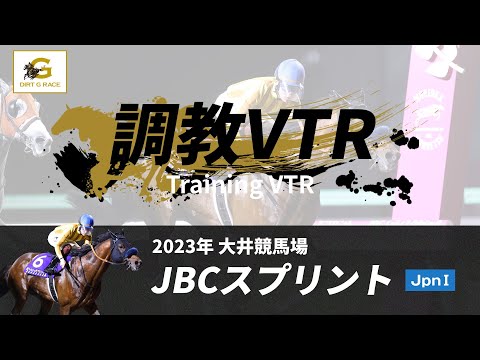 調教VTR｜2023年 JBCスプリント JpnI｜NAR公式
