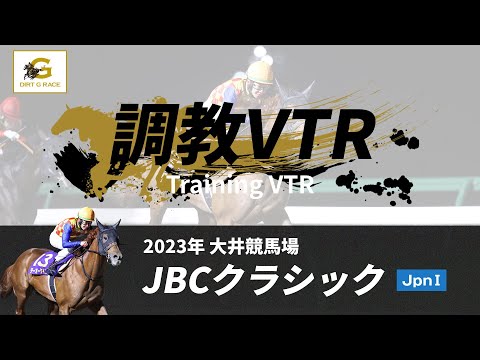調教VTR｜2023年 JBCクラシック JpnI｜NAR公式
