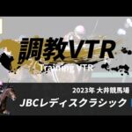 調教VTR|2023年 JBCレディスクラシック JpnI|NAR公式