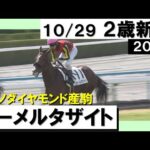《2023年 新馬》 北村友一騎手「自分の動きたいポジションを取れた」カーメルタザイトが人気に応えてデビューV! 10月29日(日)京都芝1800m 実況:岡安譲【カンテレ公式】