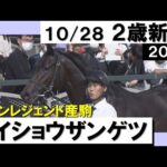 《2023年 新馬》 和田竜二騎手「力を出し切ってくれた」メイショウザンゲツ3馬身差逃げ切り勝利! 10月28日(土)京都ダート1400m 実況:岡安譲【カンテレ公式】