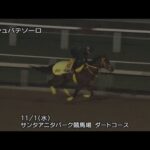 【2023ブリーダーズカップ4競走】ウシュバテソーロなど日本馬6頭の追い切り | JRA公式