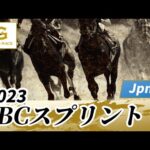 2023年 JBCスプリントJpnI|第23回|NAR公式