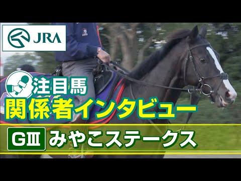 【注目馬 関係者インタビュー】2023年 みやこステークス｜JRA公式