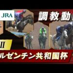 【調教動画】2023年 アルゼンチン共和国杯|JRA公式