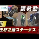 【調教動画】2023年 京王杯2歳ステークス|JRA公式