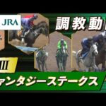 【調教動画】2023年 ファンタジーステークス|JRA公式