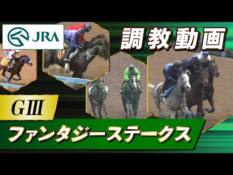 【調教動画】2023年 ファンタジーステークス｜JRA公式