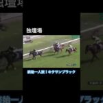 【一人旅】天皇賞(春)で一人旅!キタサンブラック見事勝利