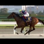 アタック!地方競馬|第240回|プレイバック JBC2023|NAR公式