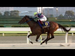 アタック！地方競馬｜第240回｜プレイバック JBC2023｜NAR公式