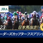 2023年 ブリーダーズカップターフスプリント(G1) | 第16回 | JRA公式