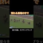 【堂々先頭】荒れる馬場の中でキタサンブラック勝利