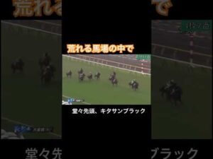 【堂々先頭】荒れる馬場の中でキタサンブラック勝利