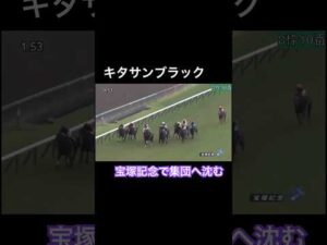 【悲劇】キタサンブラックが集団に沈む