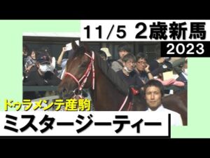 《2023年 新馬》坂井瑠星騎手「自信はありました」 ミスタージーティーがデビュー勝ち！　11月5日(日)京都芝2000ｍ　実況：石田一洋【カンテレ公式】