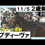 《2023年 新馬》 松若風馬騎手「センスの良さを生かした」ラブディーヴァが初陣V! 11月5日(日)京都芝1600m 実況:川島壮雄【カンテレ公式】