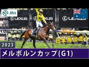 【日本馬出走】2023年 メルボルンカップ（G1） | ウィズアウトアファイト | JRA公式