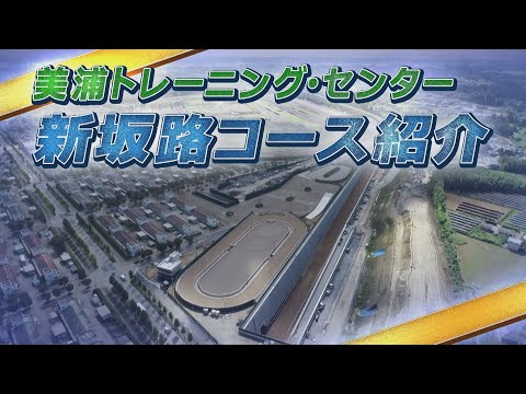 美浦トレーニング・センター　新坂路コース紹介 | JRA公式