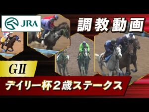 【調教動画】2023年 デイリー杯2歳ステークス｜JRA公式