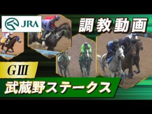 【調教動画】2023年 武蔵野ステークス｜JRA公式
