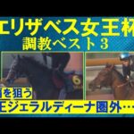 【「ブレイディヴェーグは天才肌の走り」あの穴馬もランクイン!】競馬エイト・高橋賢司トラックマンの調教解説<エリザベス女王杯(GⅠ)>